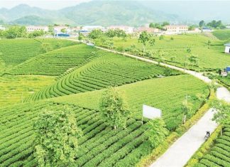 O Vietnã tem mais de 600 modelos de turismo agrícola e rural.