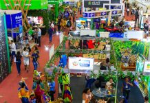 FIT Pantanal transforma Cuiabá em vitrine internacional do turismo, negócios e cultura de Mato Grosso